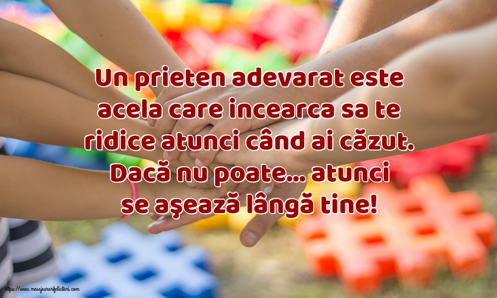 Prietenie Un prieten adevarat