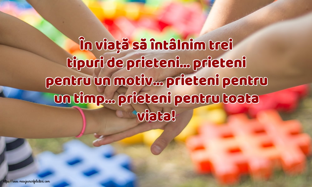 Prietenie Prieteni pentru toata viata!