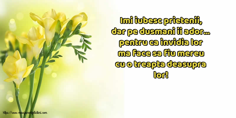 Prietenie Imi iubesc prietenii, dar pe dusmani ii ador