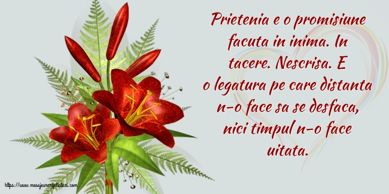 Prietenia e o promisiune facuta in inima