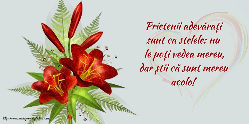 Prietenii adevărați sunt ca stelele