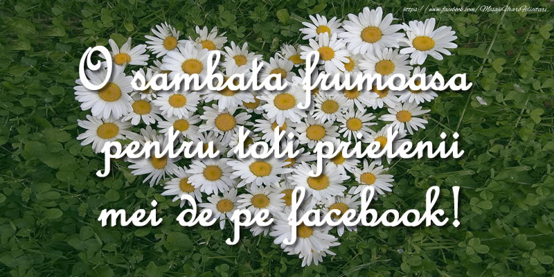 O sambata frumoasa pentru toti prietenii mei de pe facebook!