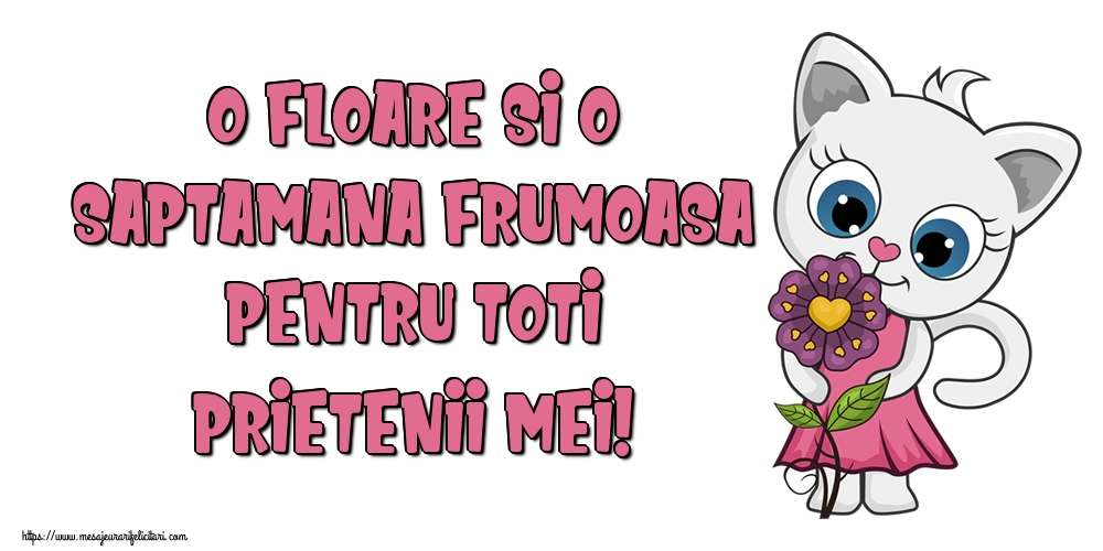 Felicitari de prietenie - O floare si o saptamana frumoasa pentru toti prietenii mei! - mesajeurarifelicitari.com
