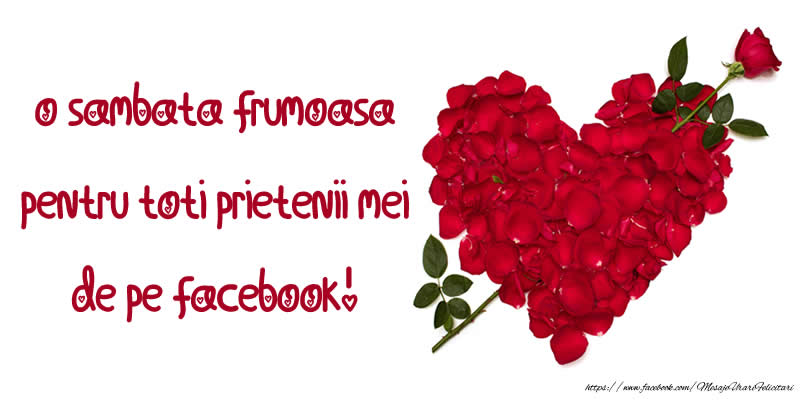 Felicitari de prietenie - O sambata frumoasa pentru toti prietenii mei de pe facebook! - mesajeurarifelicitari.com