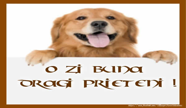 O zi buna dragi prieteni!