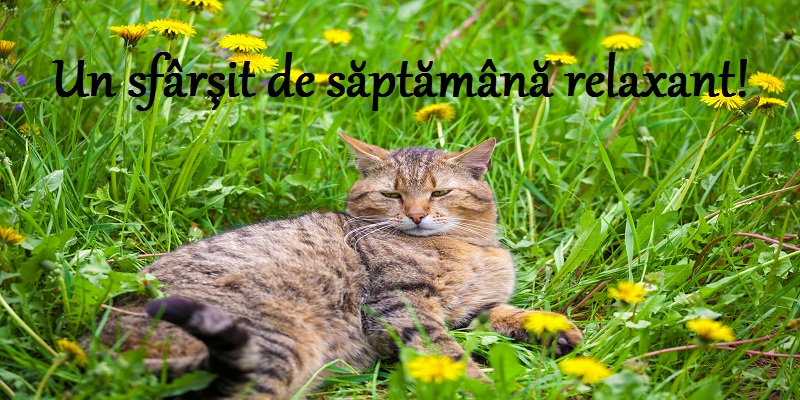 sfarsit de saptamana relaxant