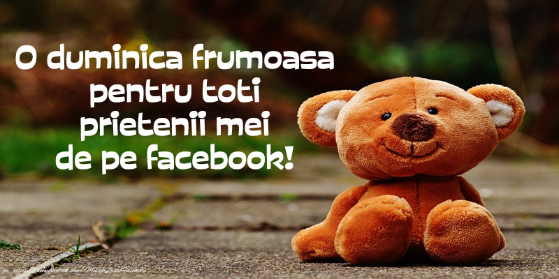 O duminica frumoasa pentru toti prietenii mei de pe facebook!