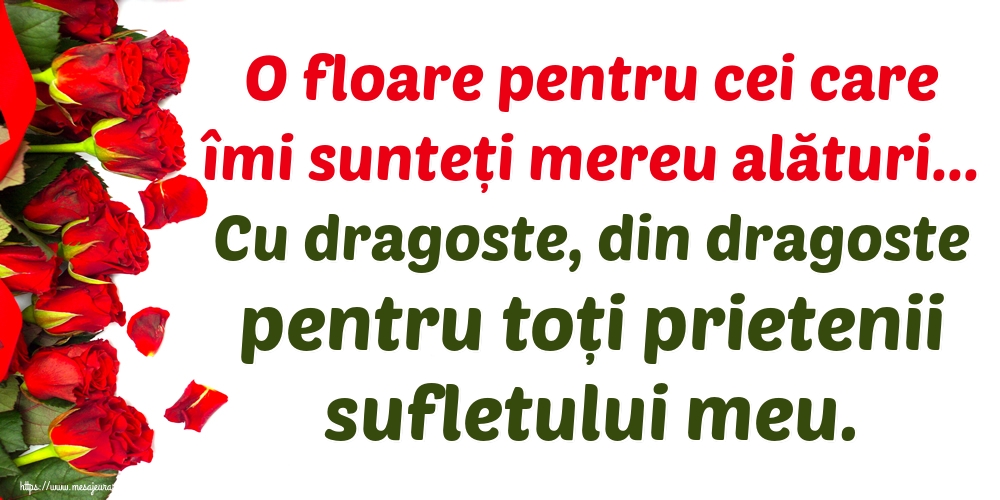 O floare pentru cei care îmi sunteți mereu alături... Cu dragoste, din dragoste pentru toți prietenii sufletului meu.