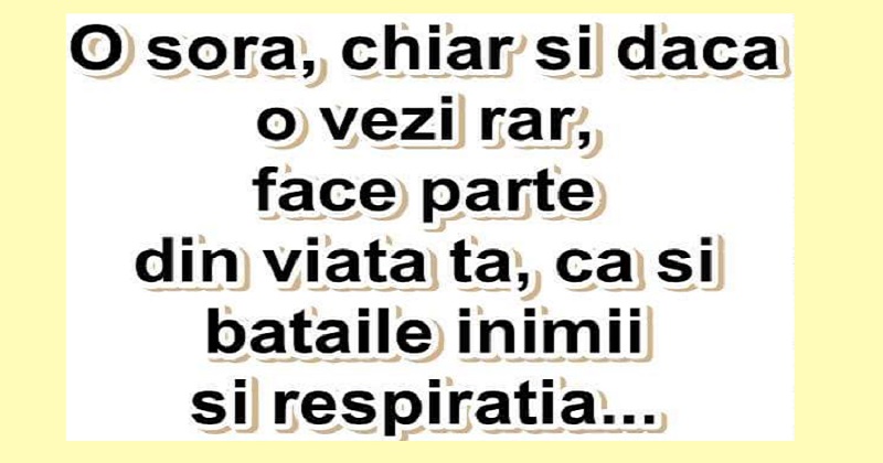 Prietenie O sora, chiar si daca o vezi rar, face parte din viata ta, ca si bataile inimii si respiratia...