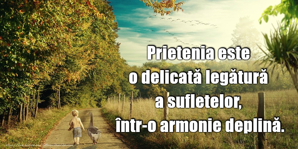 Felicitari de prietenie - Prietenia este o delicată legătură a sufletelor - mesajeurarifelicitari.com