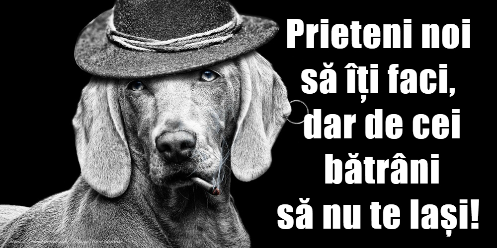 Prieteni noi să îți faci