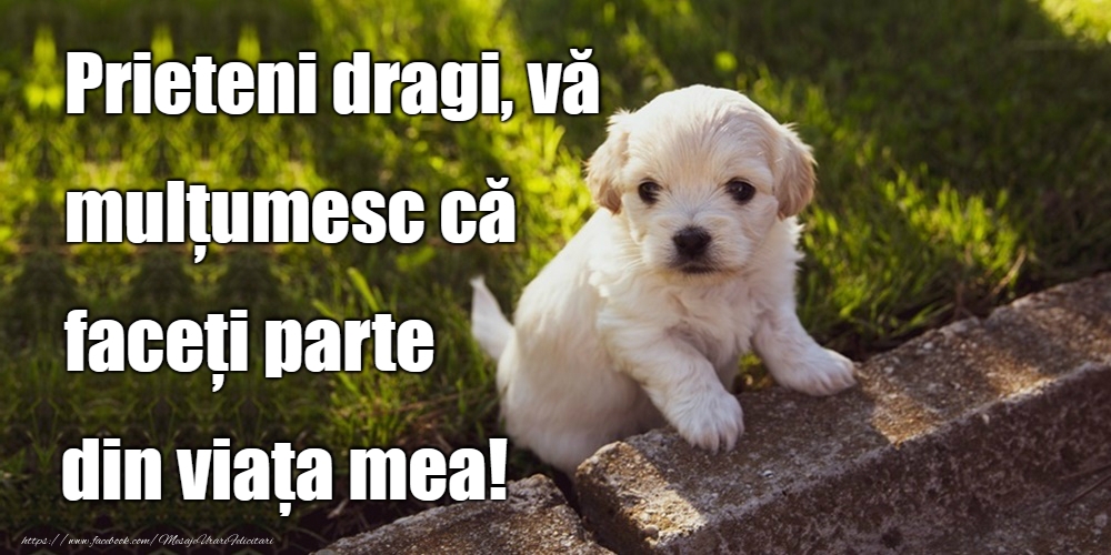 Felicitari de prietenie - Prieteni dragi - mesajeurarifelicitari.com