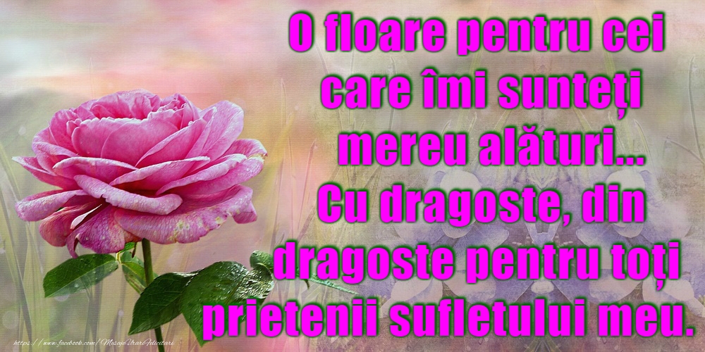 O floare pentru cei care îmi sunteți mereu alături