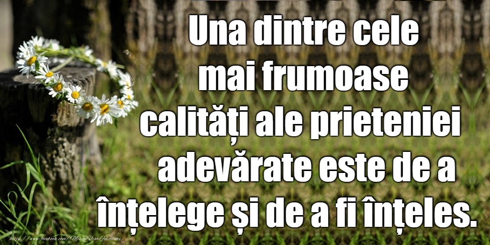 Felicitari de prietenie - Una dintre cele mai frumoase calități - mesajeurarifelicitari.com