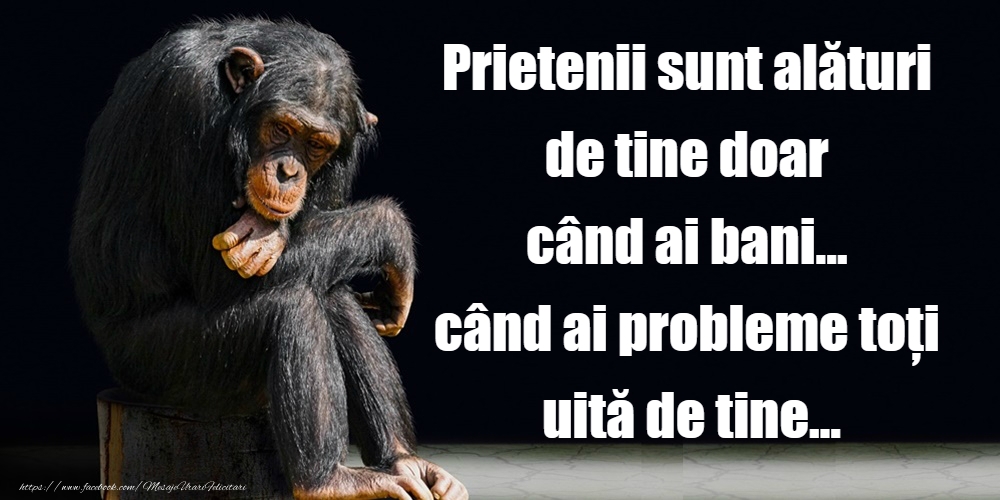 Felicitari de prietenie - Prietenii sunt alaturi de tine - mesajeurarifelicitari.com