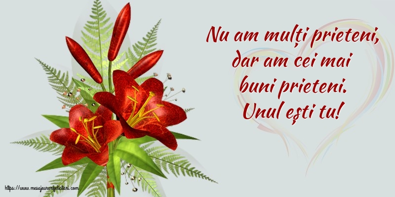 Nu am mulți prieteni