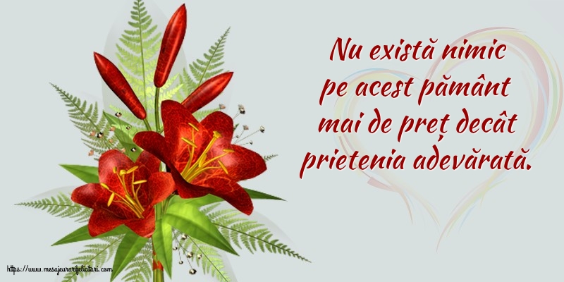 Nu există nimic pe acest pământ