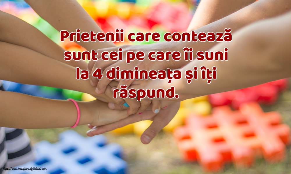 Prietenii care contează