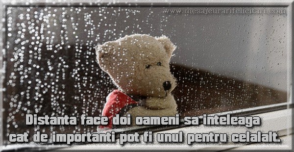 Felicitari de prietenie - Distanta face doi oameni sa inteleaga cat  de importanti pot fi unul pentru celalat - mesajeurarifelicitari.com