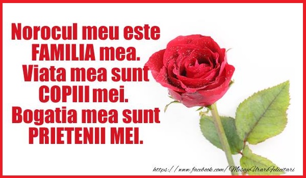 Felicitari de prietenie - Norocul meu este familia mea ... Bogatia mea sunt Prietenii Mei - mesajeurarifelicitari.com