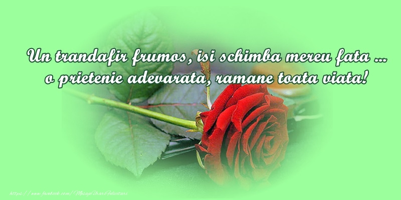 Felicitari de prietenie - mesajeurarifelicitari.com