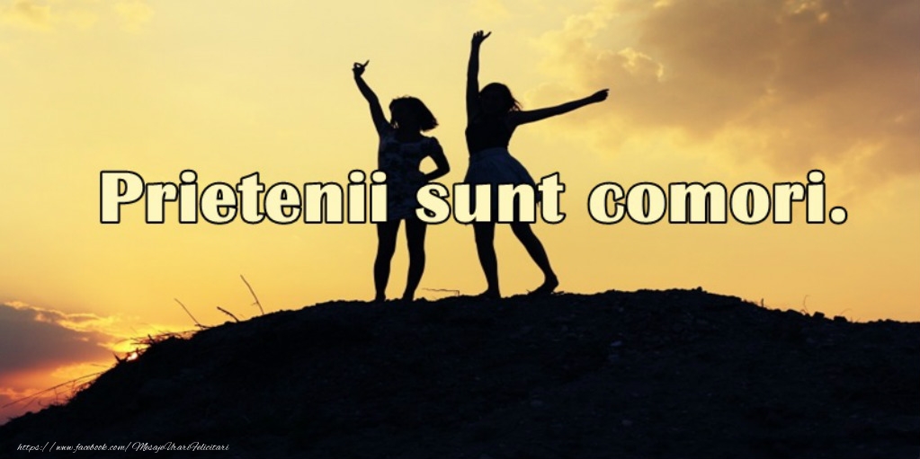 Prietenii sunt comori