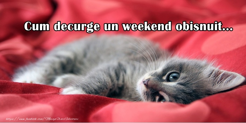 Cum decurge un weekend obijnuit...