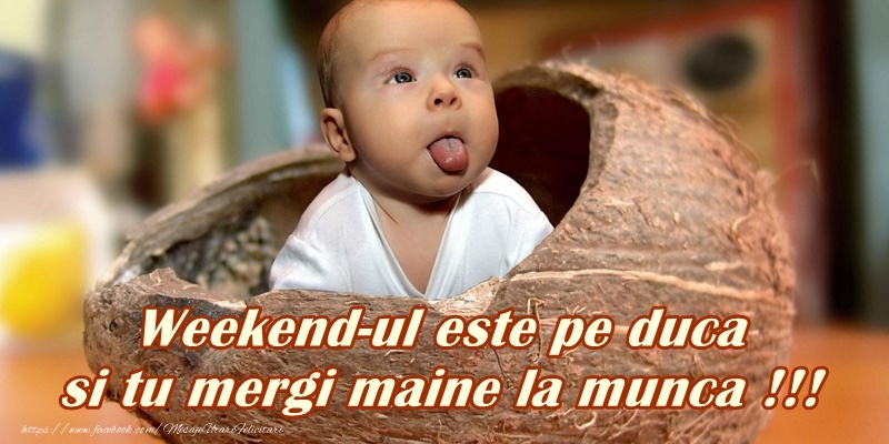 Felicitari de prietenie - Weekendul este pe duca si tu mergi maine la munca!!! - mesajeurarifelicitari.com