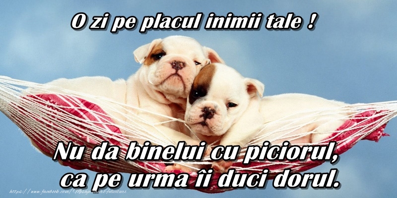 O zi pe placul inimii tale. Nu da binelui cu piciorul, ca pe urma ii duci dorul!
