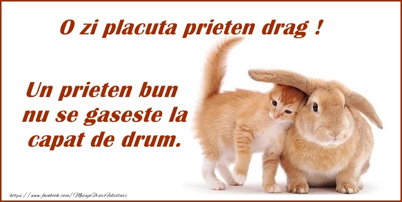 O zi placuta, prieten drag! Un prieten bun nu se gaseste la capat de drum!