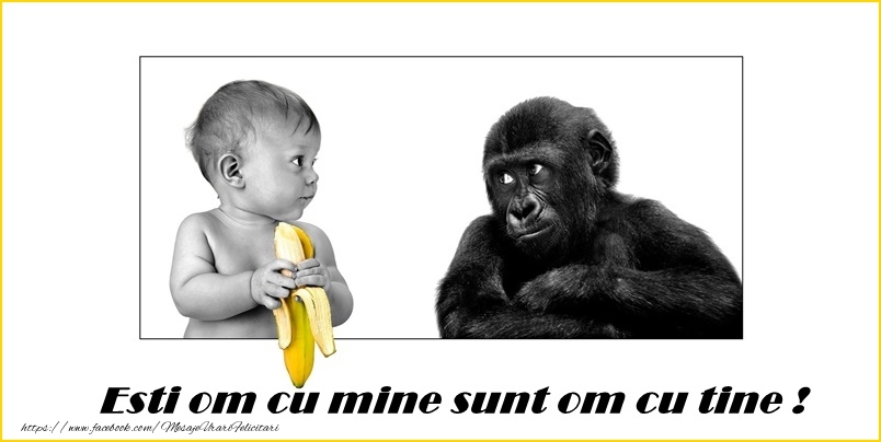 Esti om cu mine, sunt om cu tine!