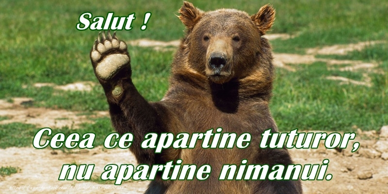 Salut! Ceea ce apartine tuturor, nu apartine nimanui!