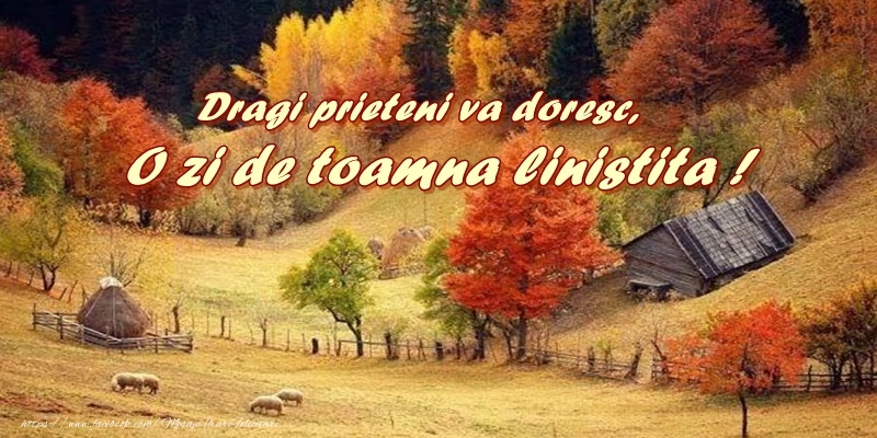 Dragi prieyeni va doresc: O zi de toamna linistita!