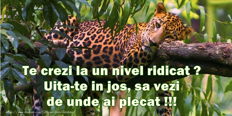 Te crezi la un nivel ridicat? Uita-te in jos, sa vezi de unde ai plecat!!!