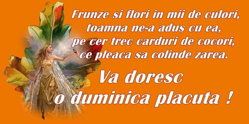 Felicitari de prietenie - Frunze si flori in mii de culori, toamna ne-a adus cu ea, ce cer trec carduri de cocori, ce pleaca sa colinde zarea. Va doresc o Duminica placuta! - mesajeurarifelicitari.com