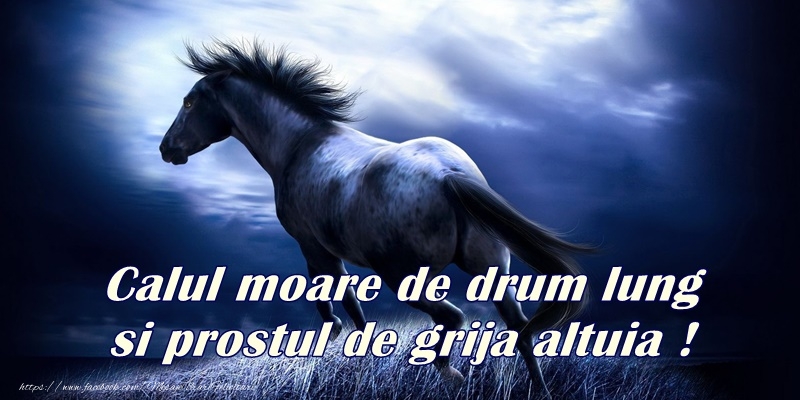 Felicitari de prietenie - mesajeurarifelicitari.com