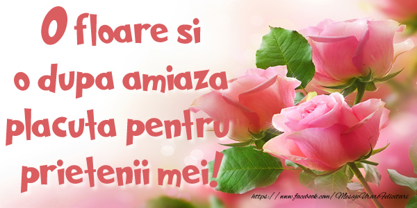 Felicitari de prietenie - O floare si o dupa amiaza placuta pentru prietenii mei! - mesajeurarifelicitari.com