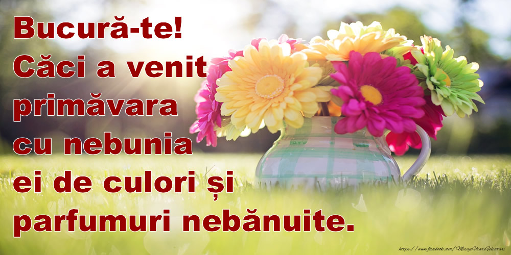 Felicitari de Primavara - Bucură-te! Căci a venit primăvara! - mesajeurarifelicitari.com