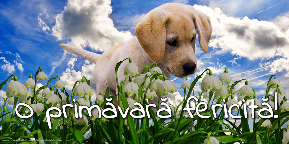 Felicitari de Primavara - O primăvară fericită! - mesajeurarifelicitari.com
