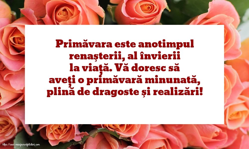 Primavara O primăvară minunată!