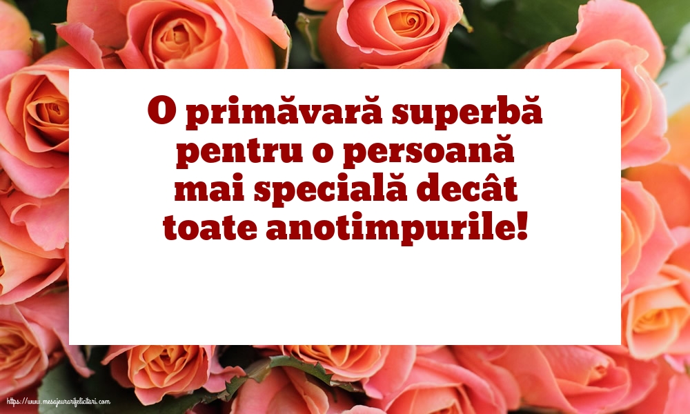 Primavara O primăvară superbă!