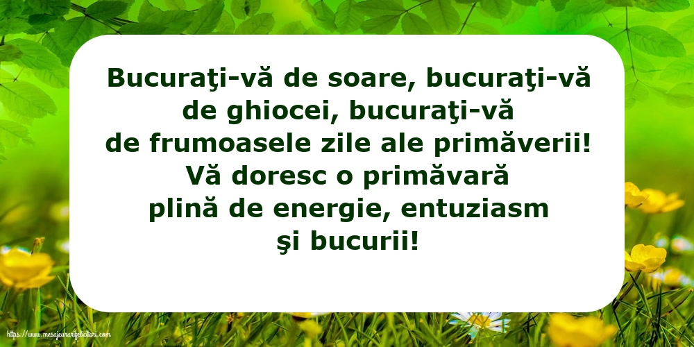 Vă doresc o primăvară plină de energie, entuziasm şi bucurii!