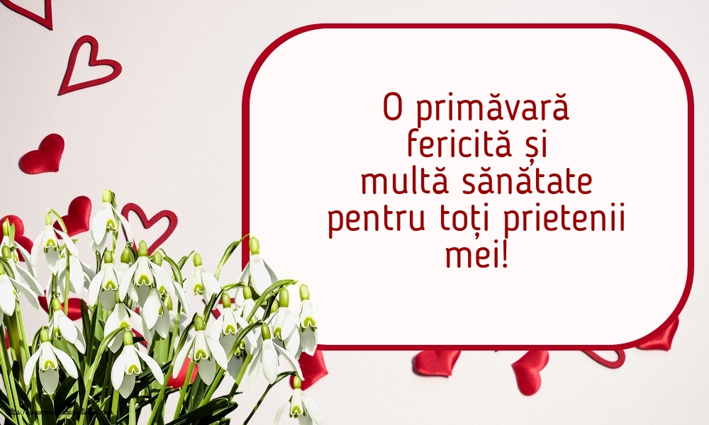 Primavara O primăvară fericită și multă sănătate pentru toți prietenii mei!