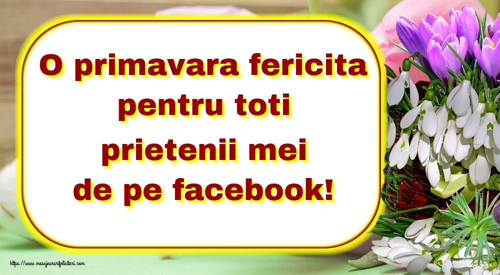 O primavara fericita pentru toti prietenii mei de pe facebook!