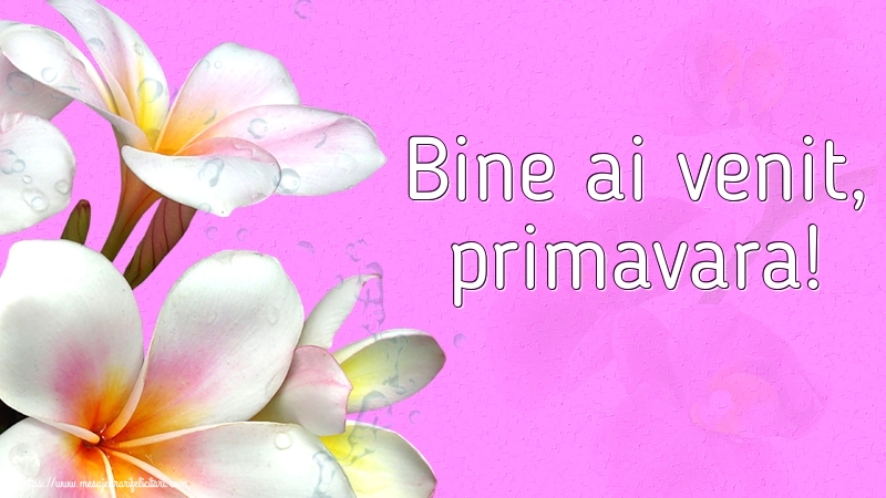 Bine ai venit, primavara!