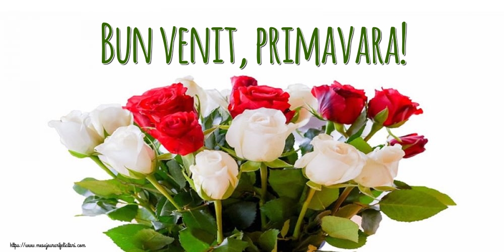 Felicitari de Primavara - Bun venit, primavara! - mesajeurarifelicitari.com