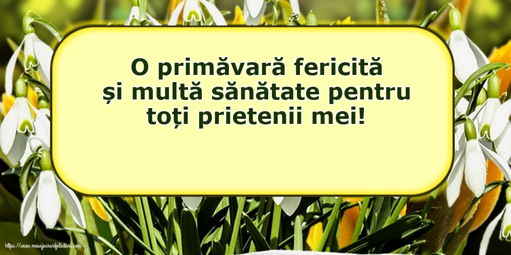 Primavara O primăvară fericită și multă sănătate pentru toți prietenii mei!