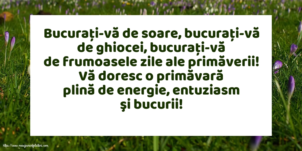 Vă doresc o primăvară plină de energie, entuziasm şi bucurii!