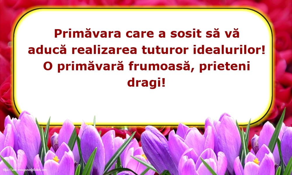 Primavara O primăvară frumoasă, prieteni dragi!