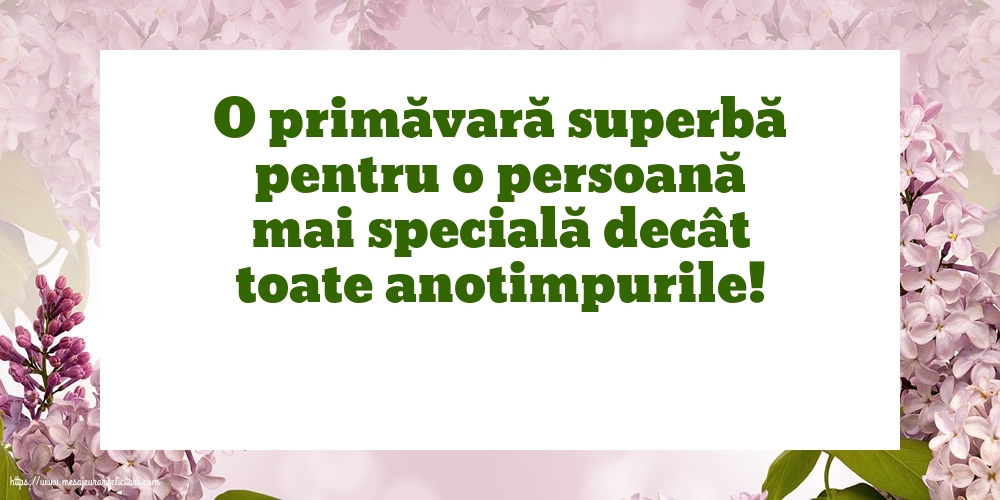 O primăvară superbă!